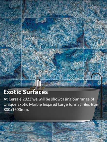 Exotic Surfaces