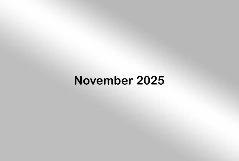 Newsletter - November 2025