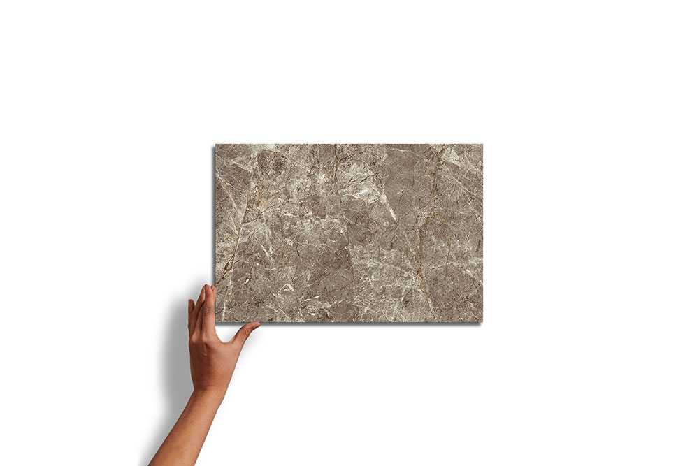 Buy Fossil Grey D Tile | Ceramic wall - Nitco Tiles & Marble