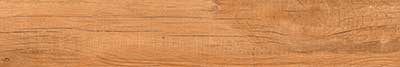Truewood BeigeGlazed Vitrified Tiles